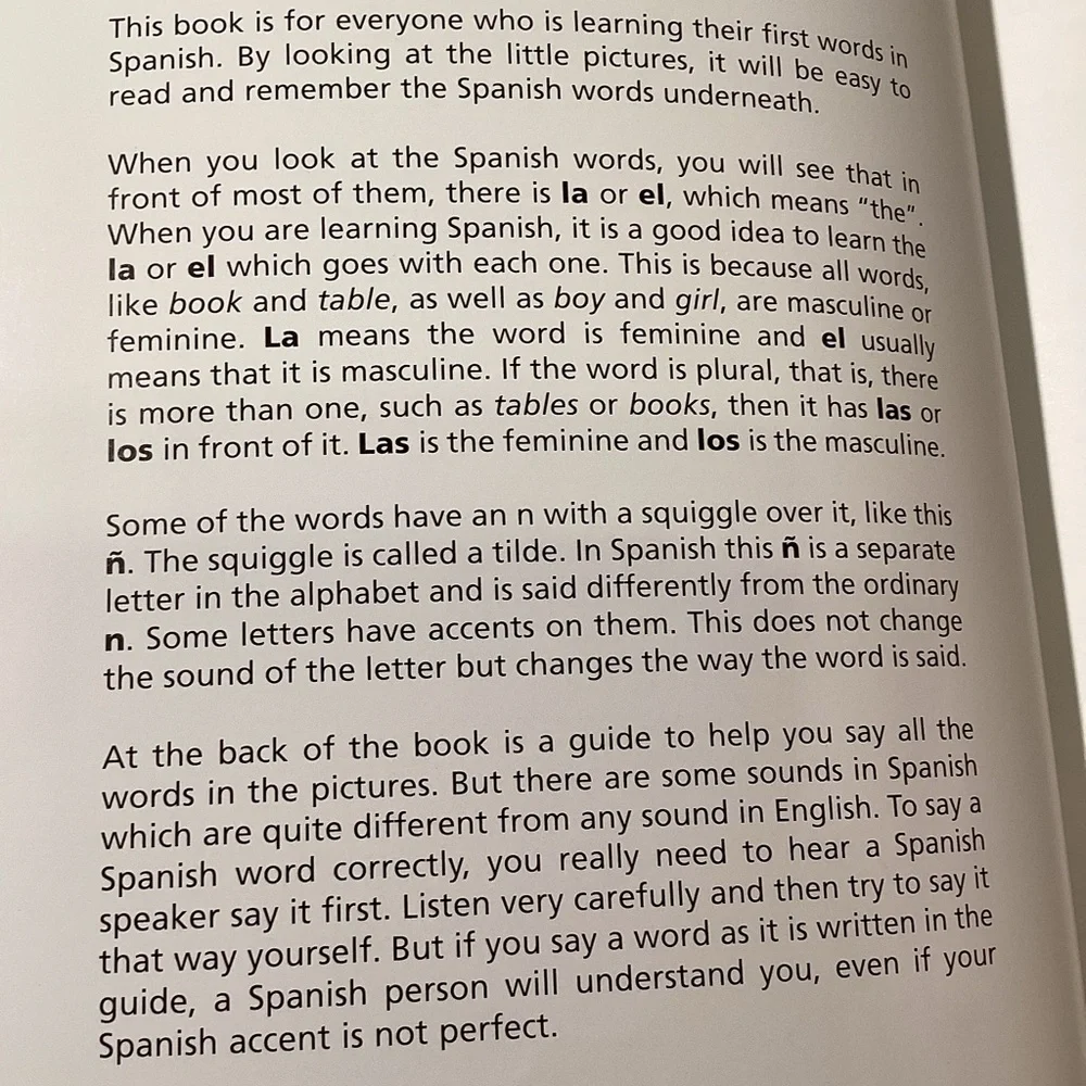 Usborne First Hundred Words in Spanish by Heather Amery and Stephen Cart…